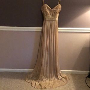 Champagne BCBG Dress